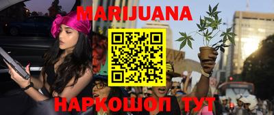 индика Тверь