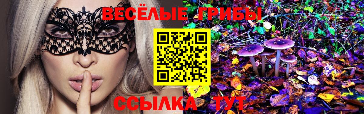 Галлюциногенные грибы Psilocybe  Вход с VPN  Боровичи 