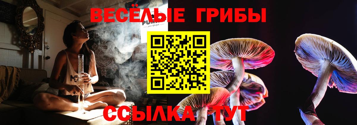 ГАШ  Боровичи  Кокаин  Мефедрон   МАРИХУАНА  Вход с VPN 